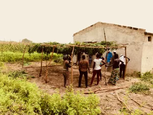 Formation en agroécologie de pas à Pas à la ferme-école de Ndoumboudj