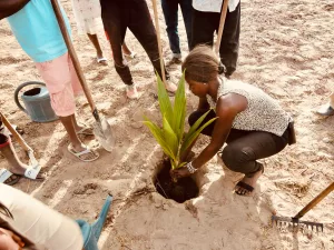 Formation en agroécologie de pas à Pas à la ferme-école de Ndoumboudj