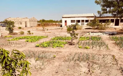 Les aménagements de la ferme-école de Ndoumboudj