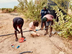 Formation en agroécologie de pas à Pas à la ferme-école de Ndoumboudj