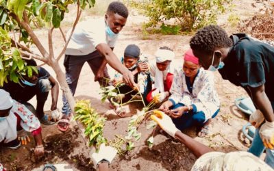 Les activités de notre partenaire sénégalais en 2023