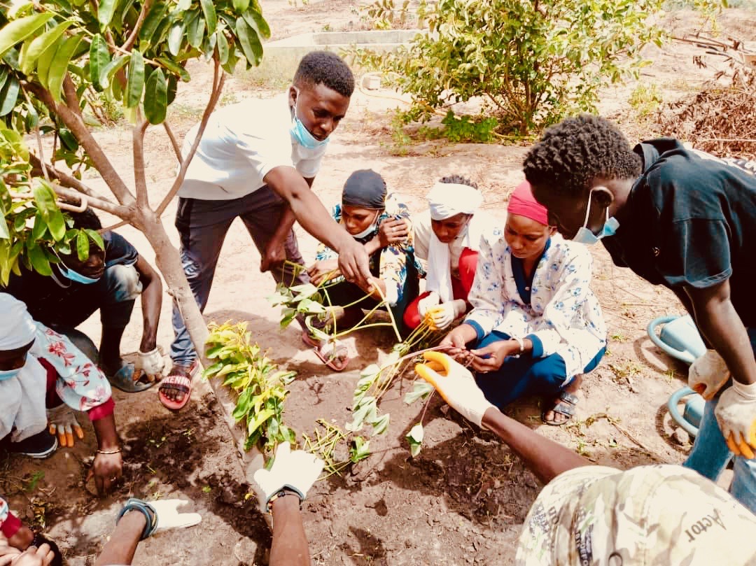 Les activités de notre partenaire sénégalais en 2023