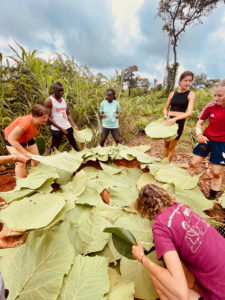 L’aventure interculturelle au Togo pour le groupe des Archis