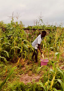 La ferme-école de Ndoumboudj sensibilise et récolte - Activités 2024
