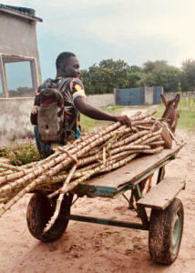 La ferme-école de Ndoumboudj sensibilise et récolte - Activités 2024