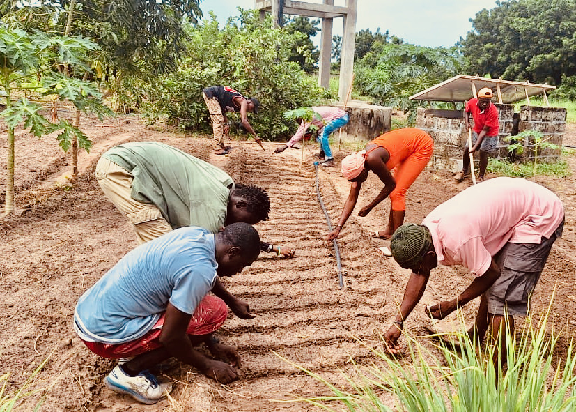 La ferme-école de Ndoumboudj sensibilise et récolte - Activités 2024