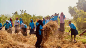 La ferme-école de Ndoumboudj sensibilise et récolte - Activités 2024