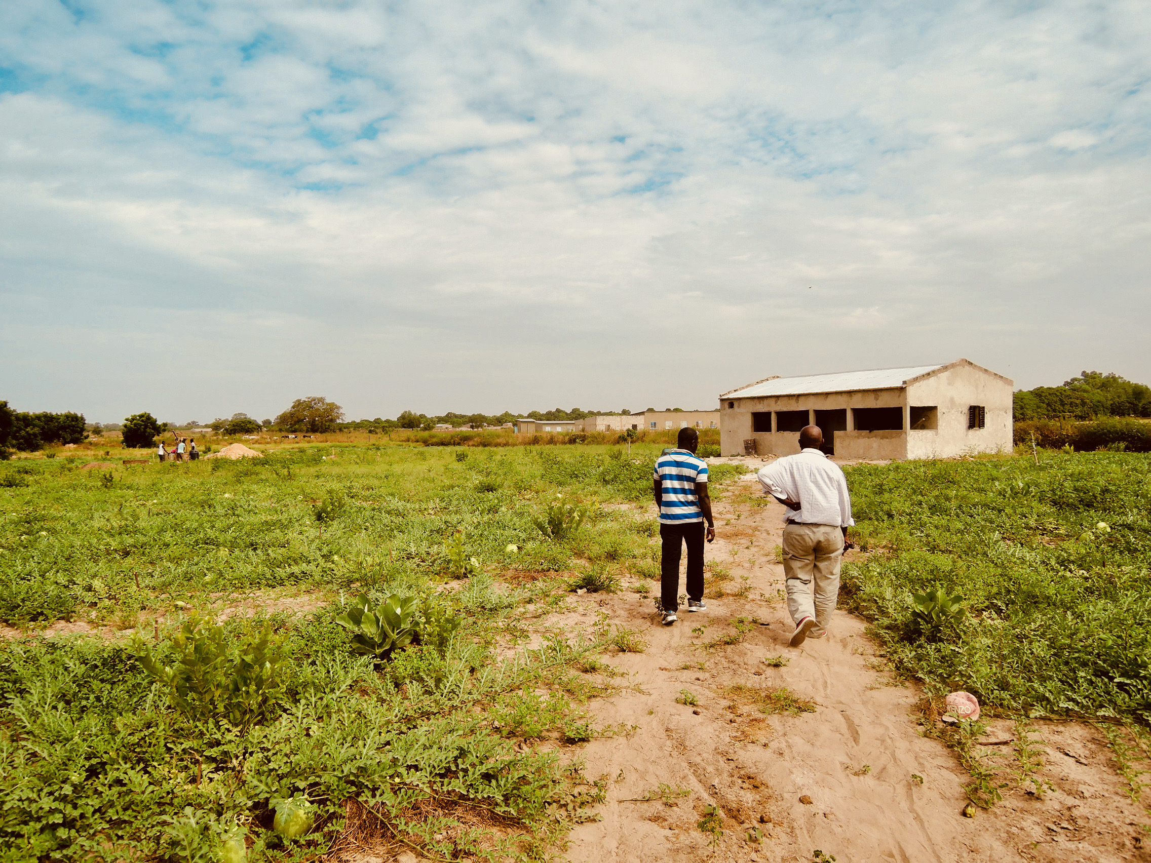 Sénégal - batiment bureau 2016 Sénégal - batiment bureau 2016