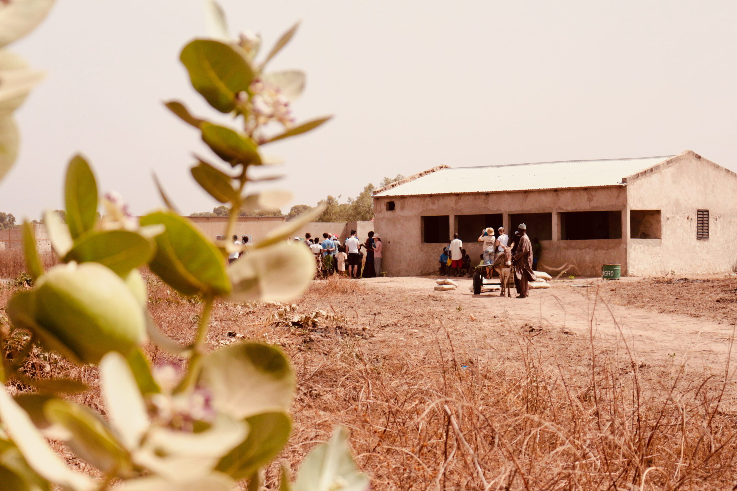2018 - Bureau Sénégal - batiment bureau 2018