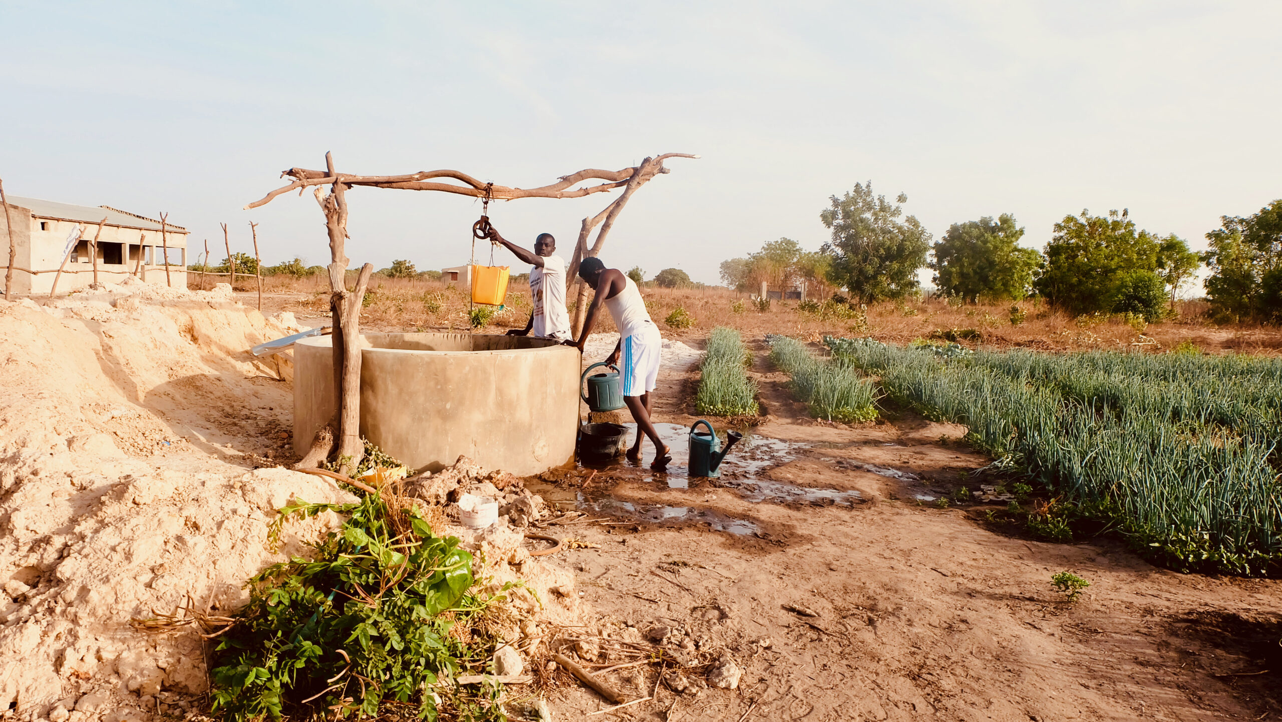 Sénégal - ferme-école - Accès eau - puits 2018 Sénégal - ferme-école - Accès eau - puits 2018