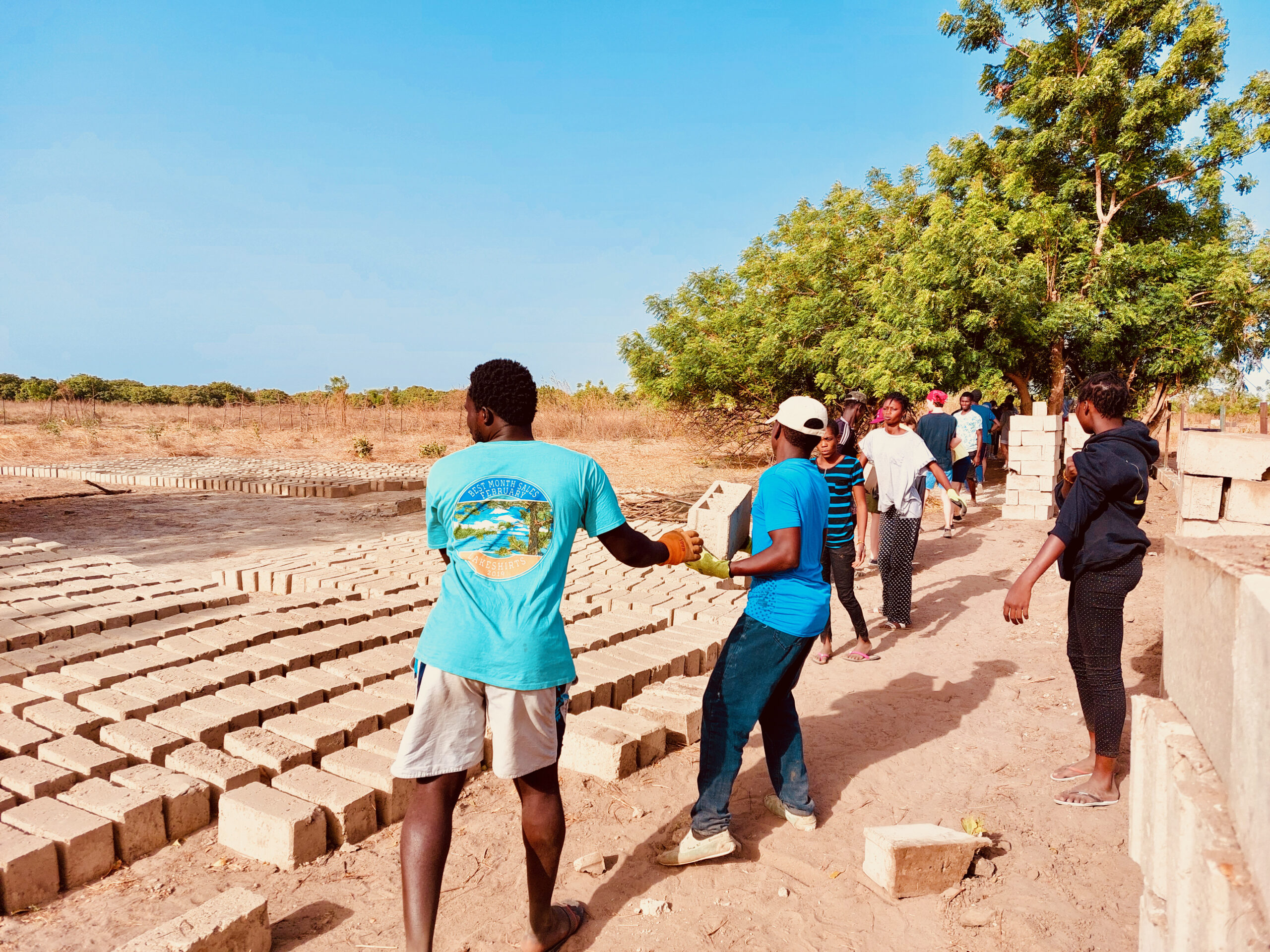 Sénégal - ferme-école - clôture - 2022 Sénégal - ferme-école - clôture - 2022