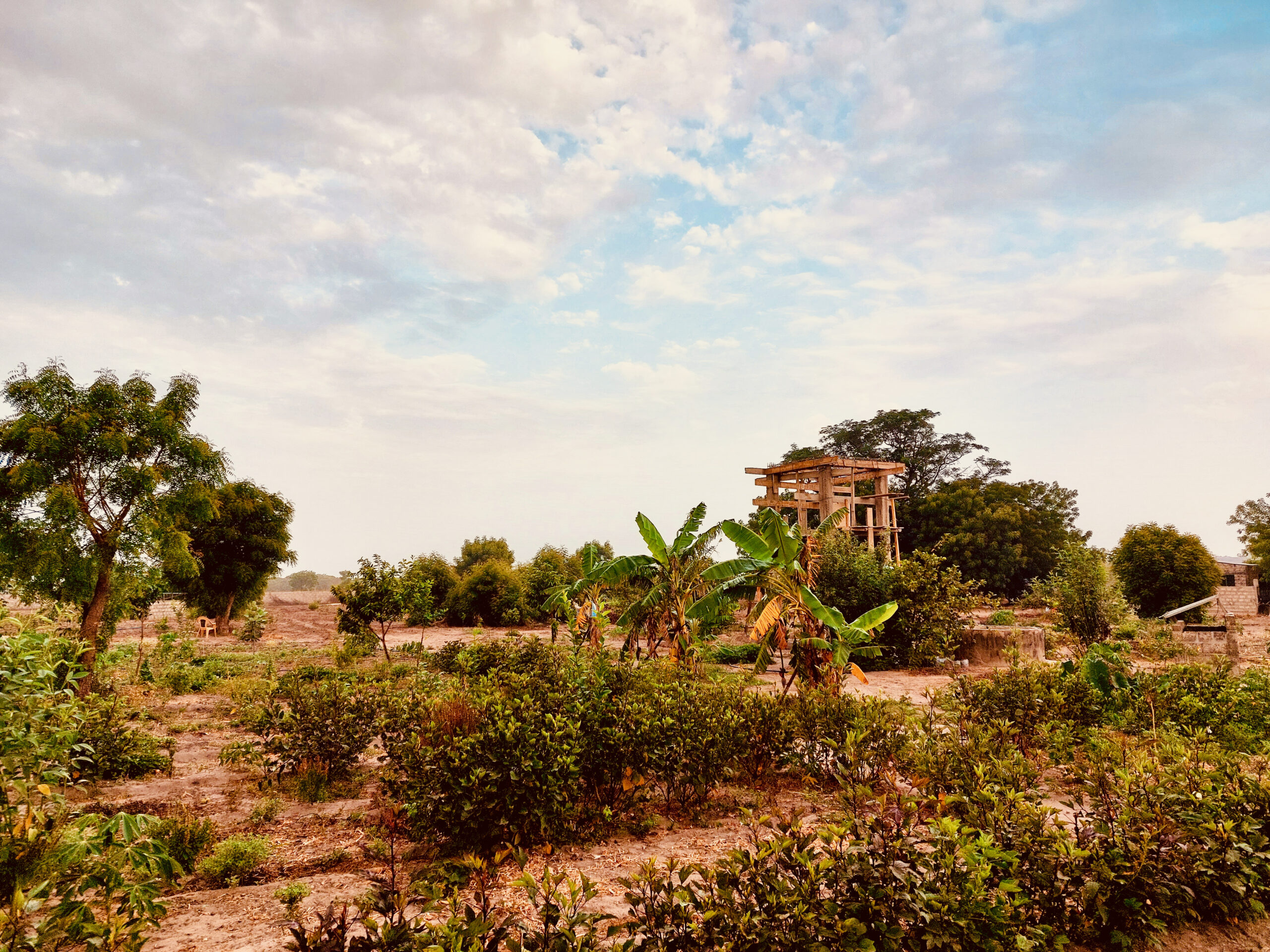 Sénégal - ferme-école - Accès eau - support pour la citerne de récup d'eau de pluie - 2023 Sénégal - ferme-école - Accès eau - support pour la citerne de récup d'eau de pluie - 2023