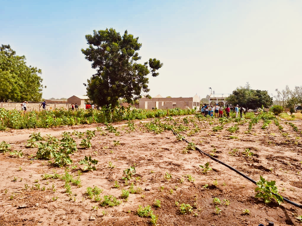 Sénégal - ferme-école - salle polyvalente - 2025 Sénégal - ferme-école - salle polyvalente - 2025