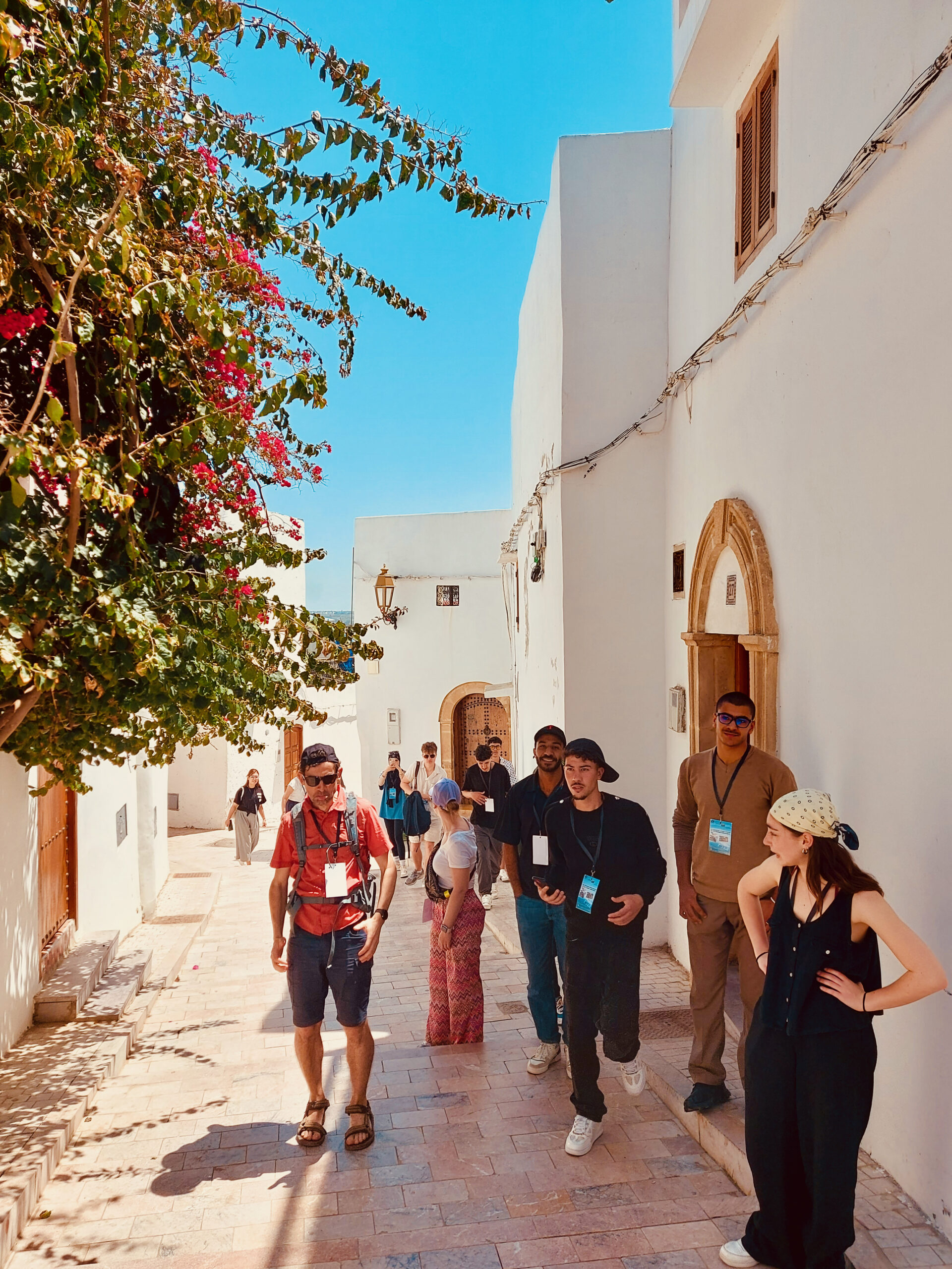 Des tomates, des tajines et des liens : l’IATA au Maroc Des tomates, des tajines et des liens : l’IATA au Maroc
