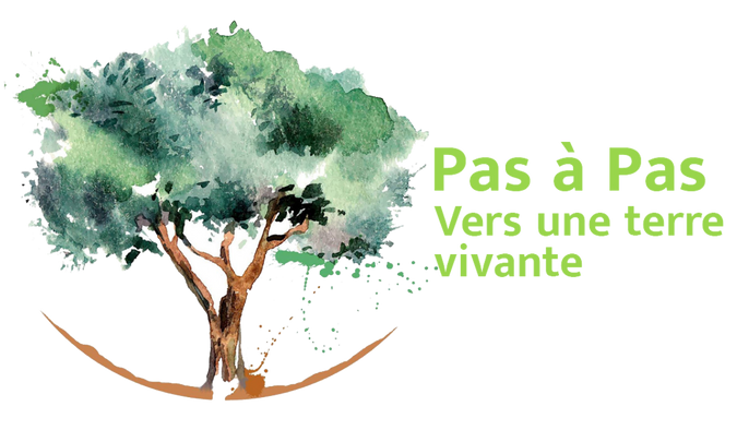 Pas a Pas - sponsor CDL 2025