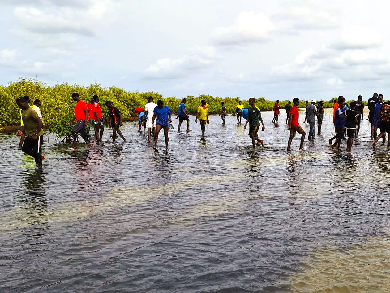 La ferme-école en autonomie et en transmission - campagnes reboisement mangroves