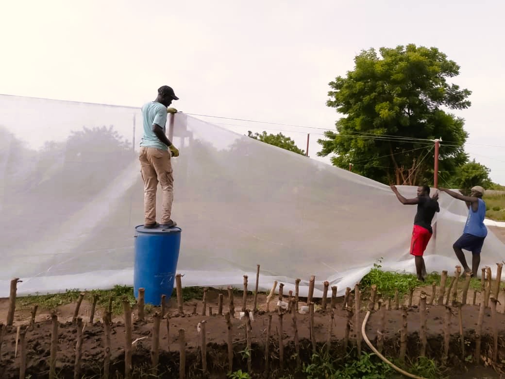 La ferme-école en autonomie et en transmission - construction de la serre