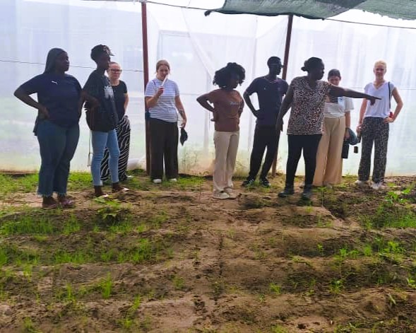Les archi en immersion #part1 au Sénégal