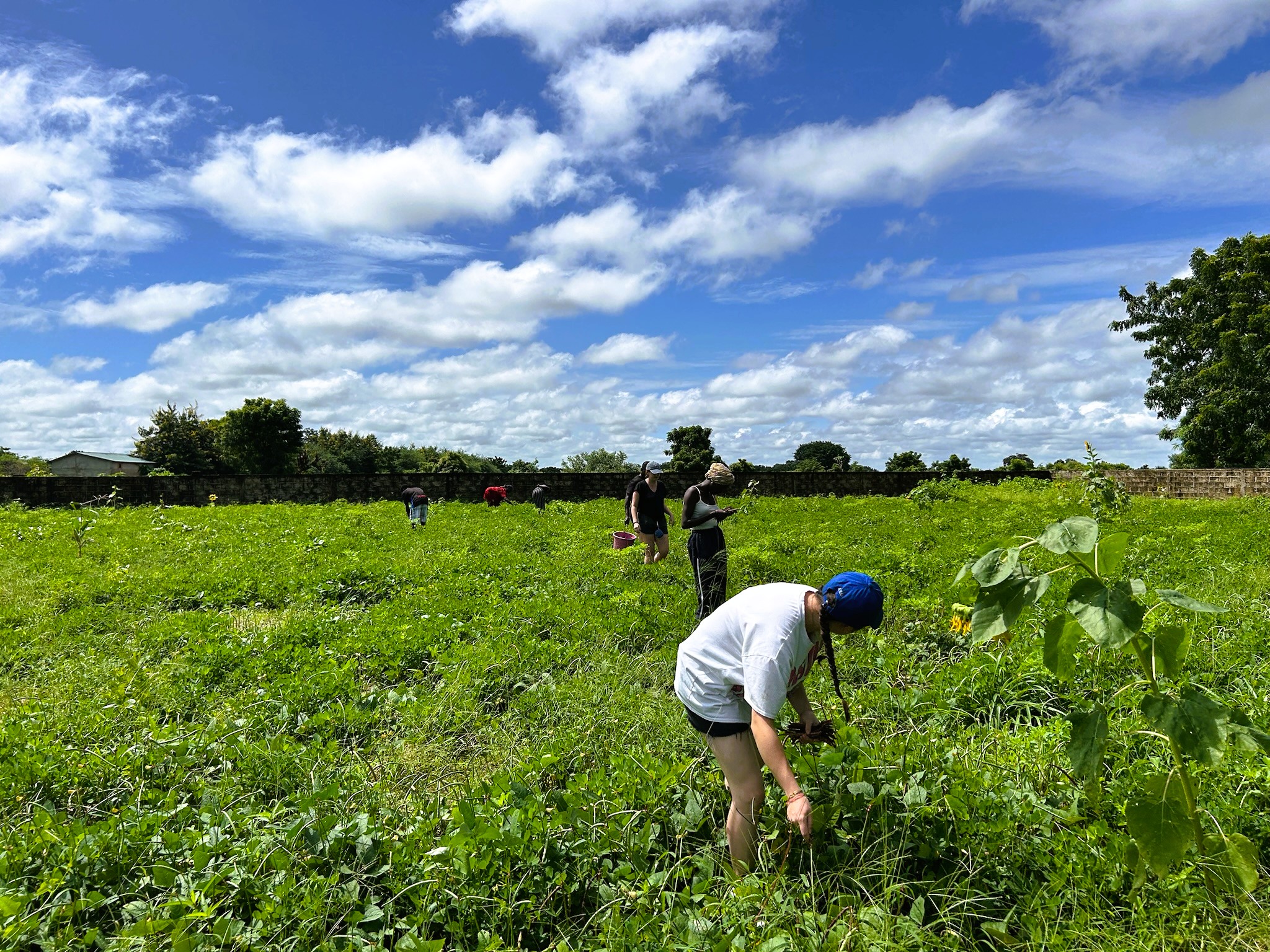 Les archi en immersion #part1 au Sénégal
