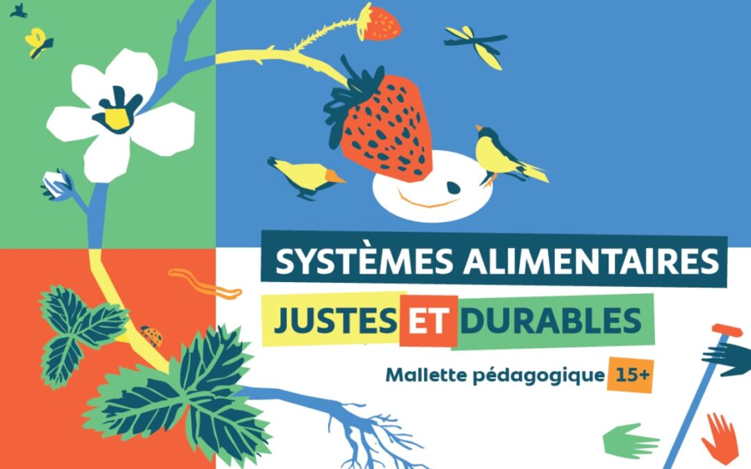 Penser l’alimentation comme un enjeu citoyen : Asmae engagée au sein du CNCD (POPS)