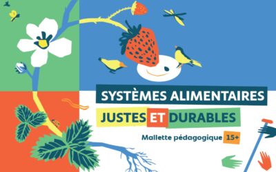 Penser l’alimentation comme un enjeu citoyen : Asmae engagée au sein du CNCD (POPS)