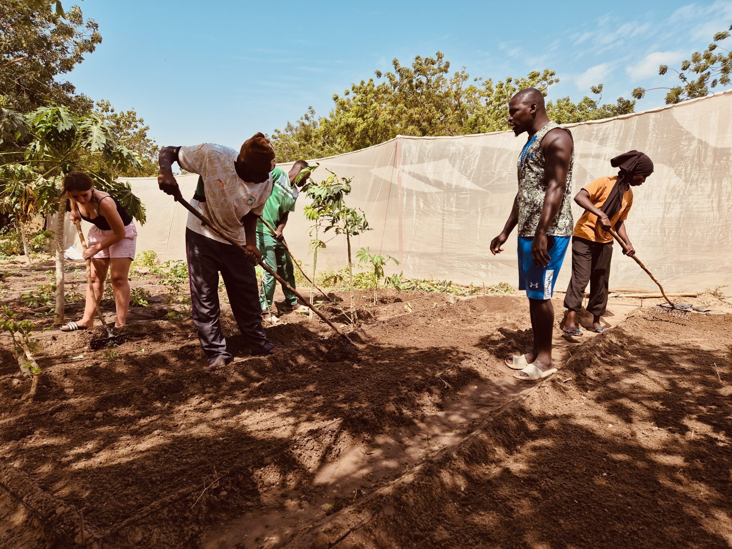 Toute une équipe de photographes au Sénégal