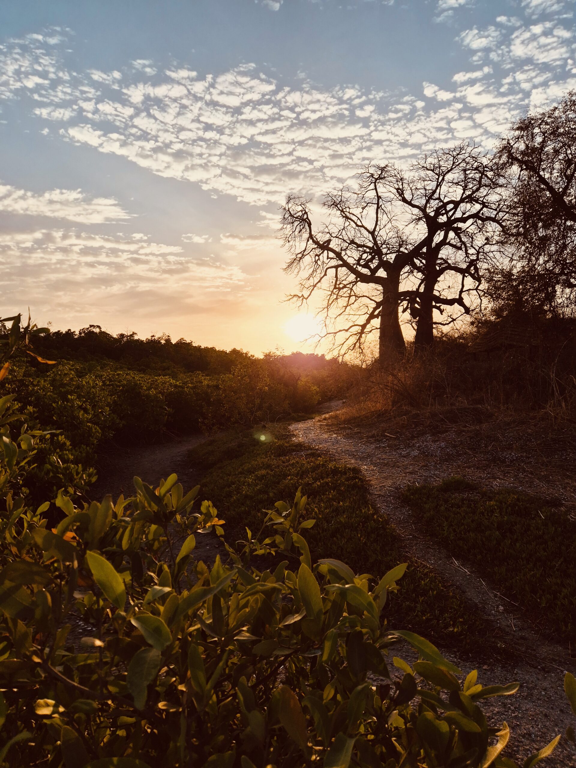 Toute une équipe de photographes au Sénégal