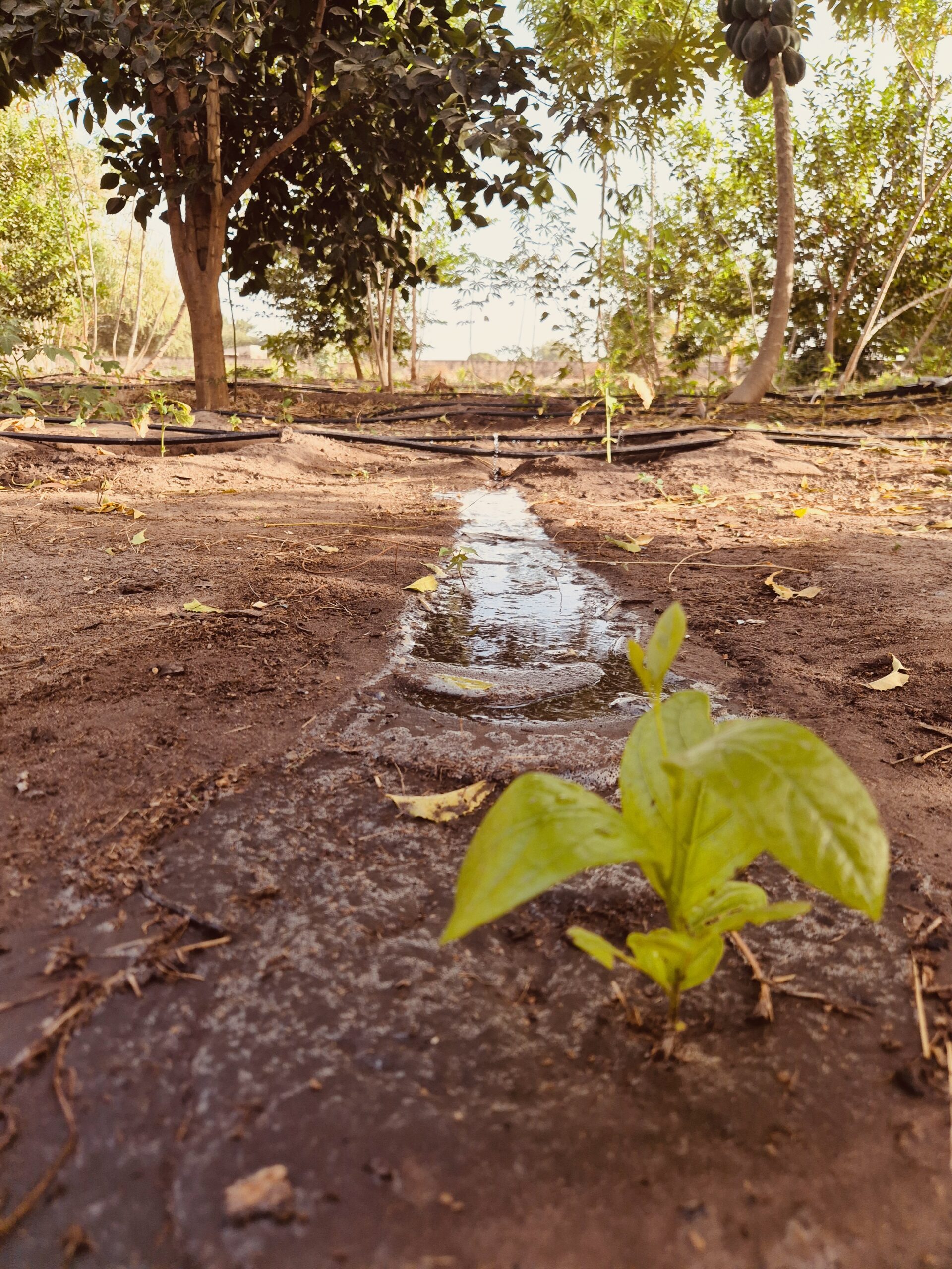 Toute une équipe de photographes au Sénégal