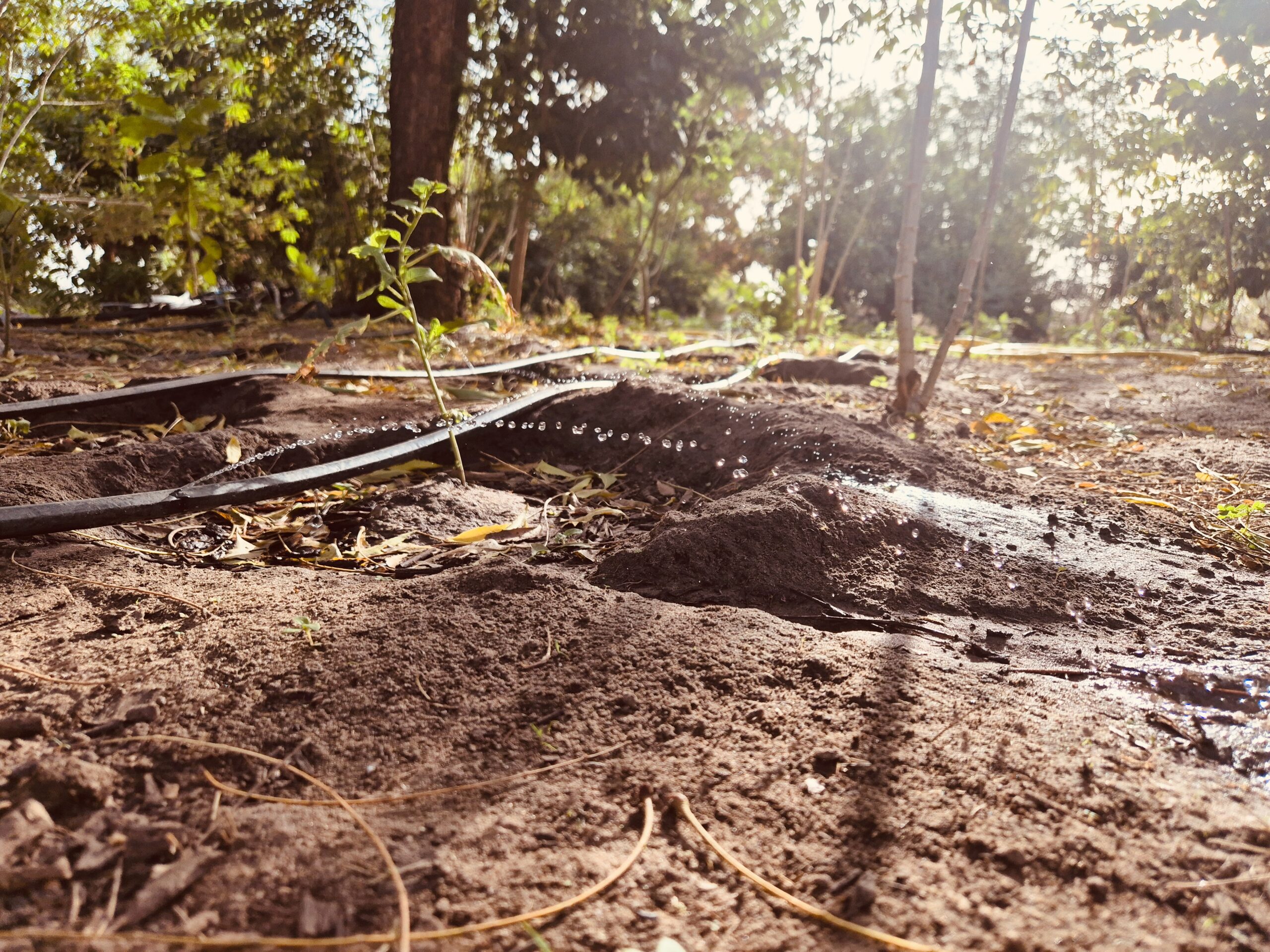 Toute une équipe de photographes au Sénégal