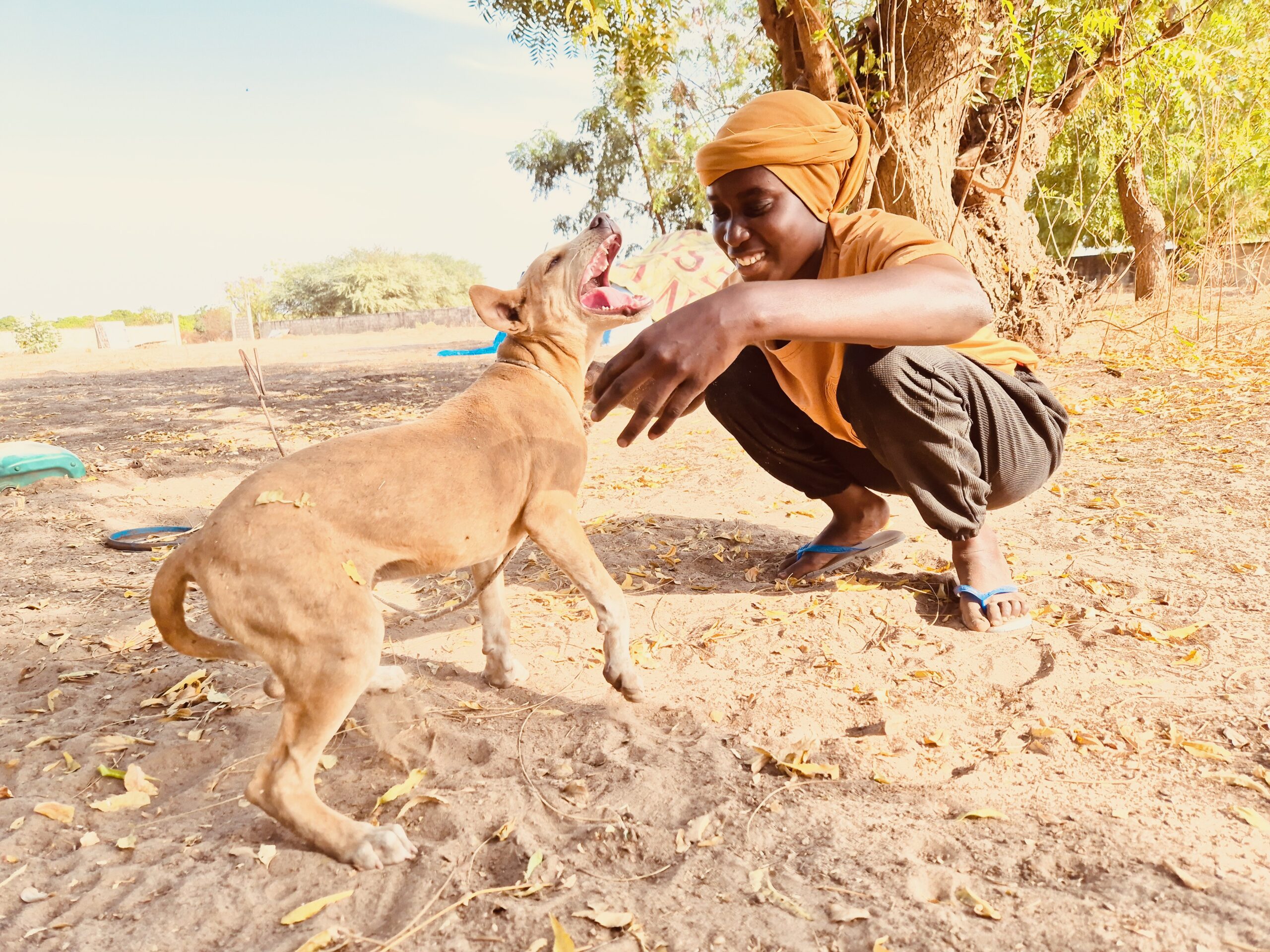 Toute une équipe de photographes au Sénégal