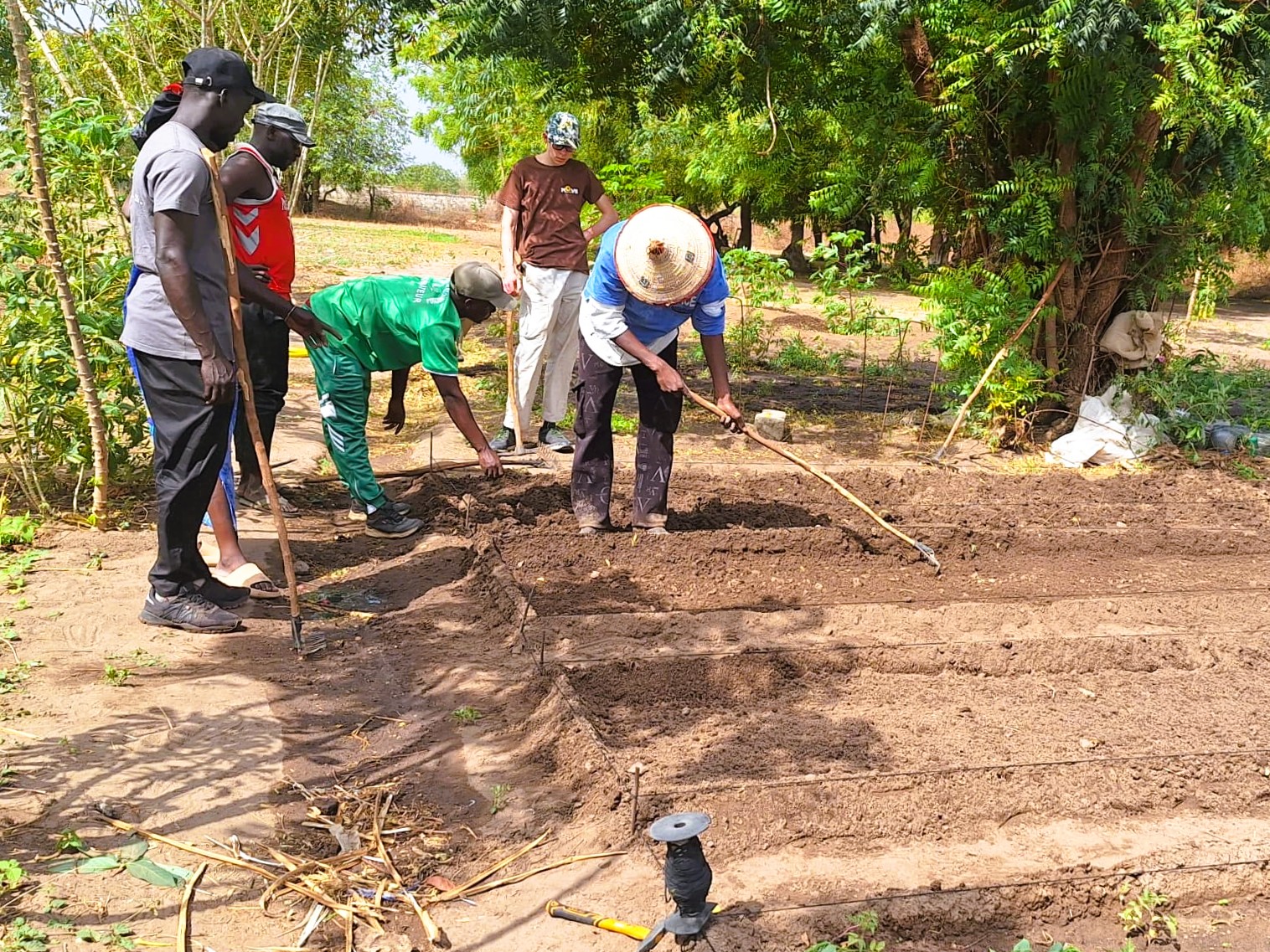Récit d'un séjour interculturelle au Sénégal avec Jean Absil