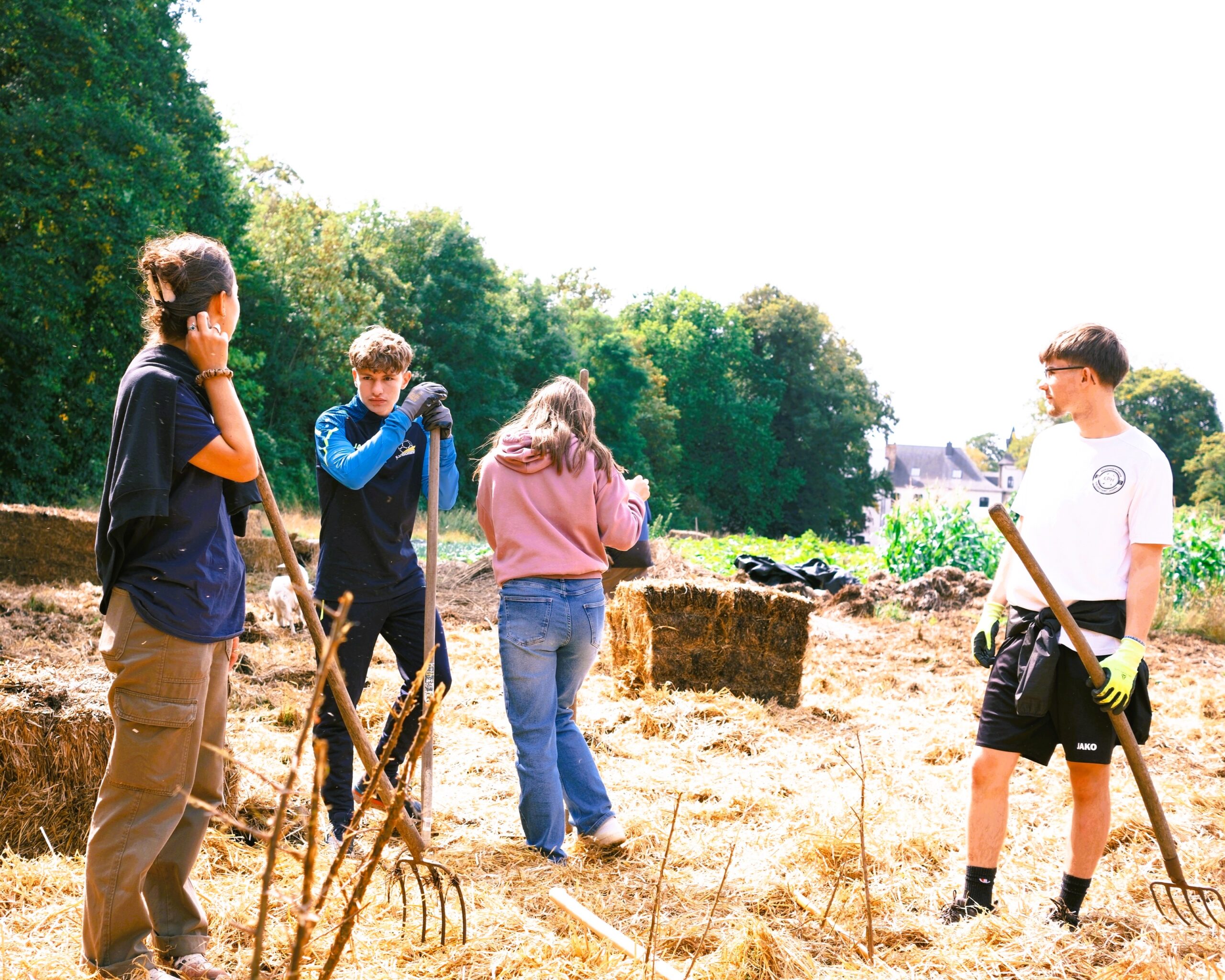 Participation, fonctionnement et valeur