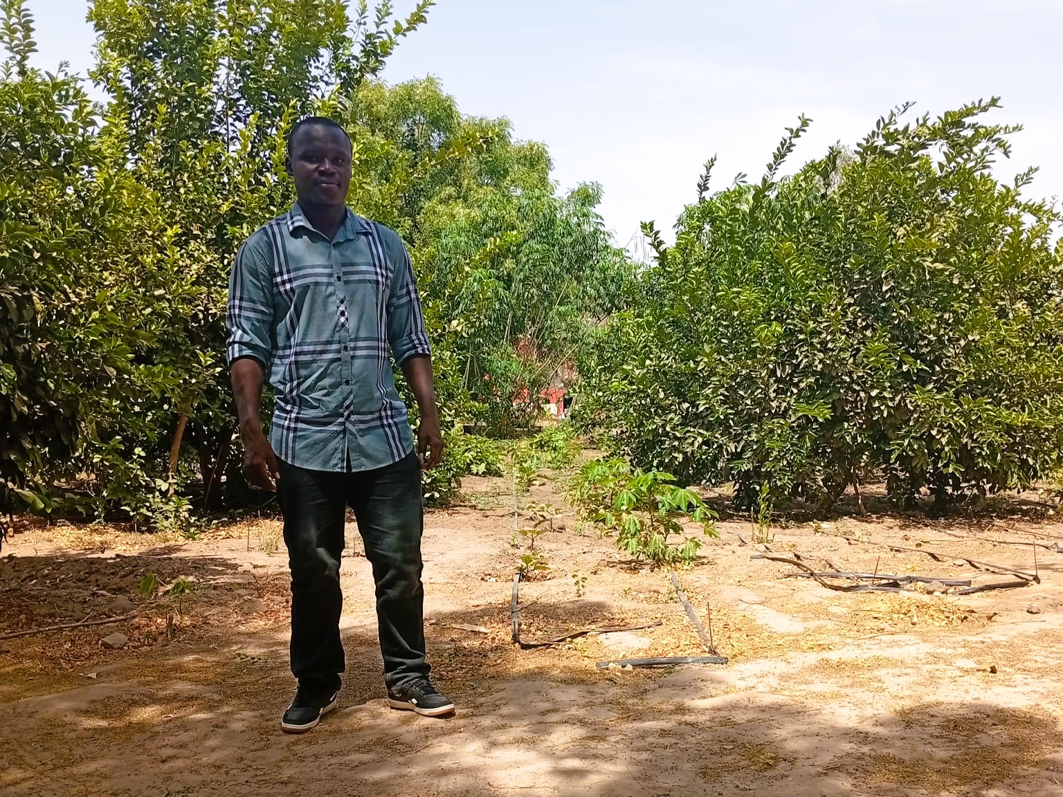 Soutenir un projet – Promouvoir l’agroécologie au Sénégal – 2025/2026