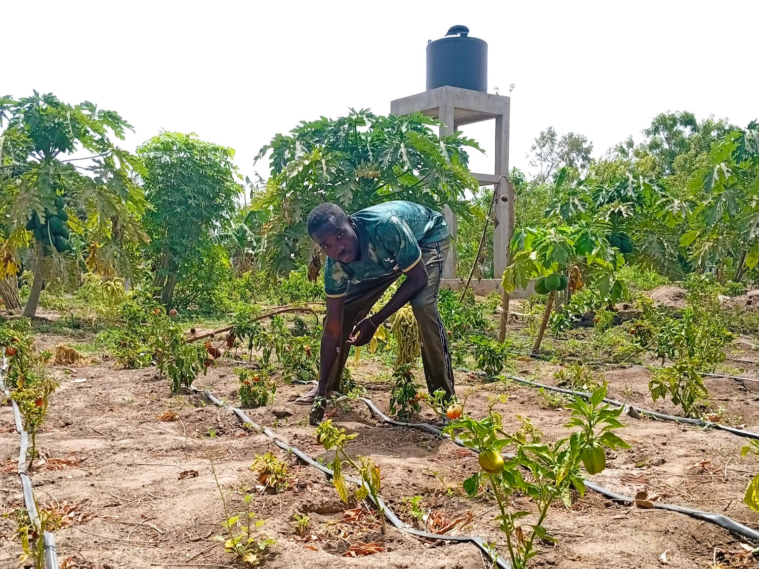 Soutenir un projet – Promouvoir l’agroécologie au Sénégal – 2025/2026