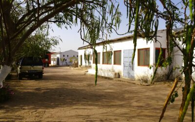 Les aménagements de la ferme-école de Ndoumboudj