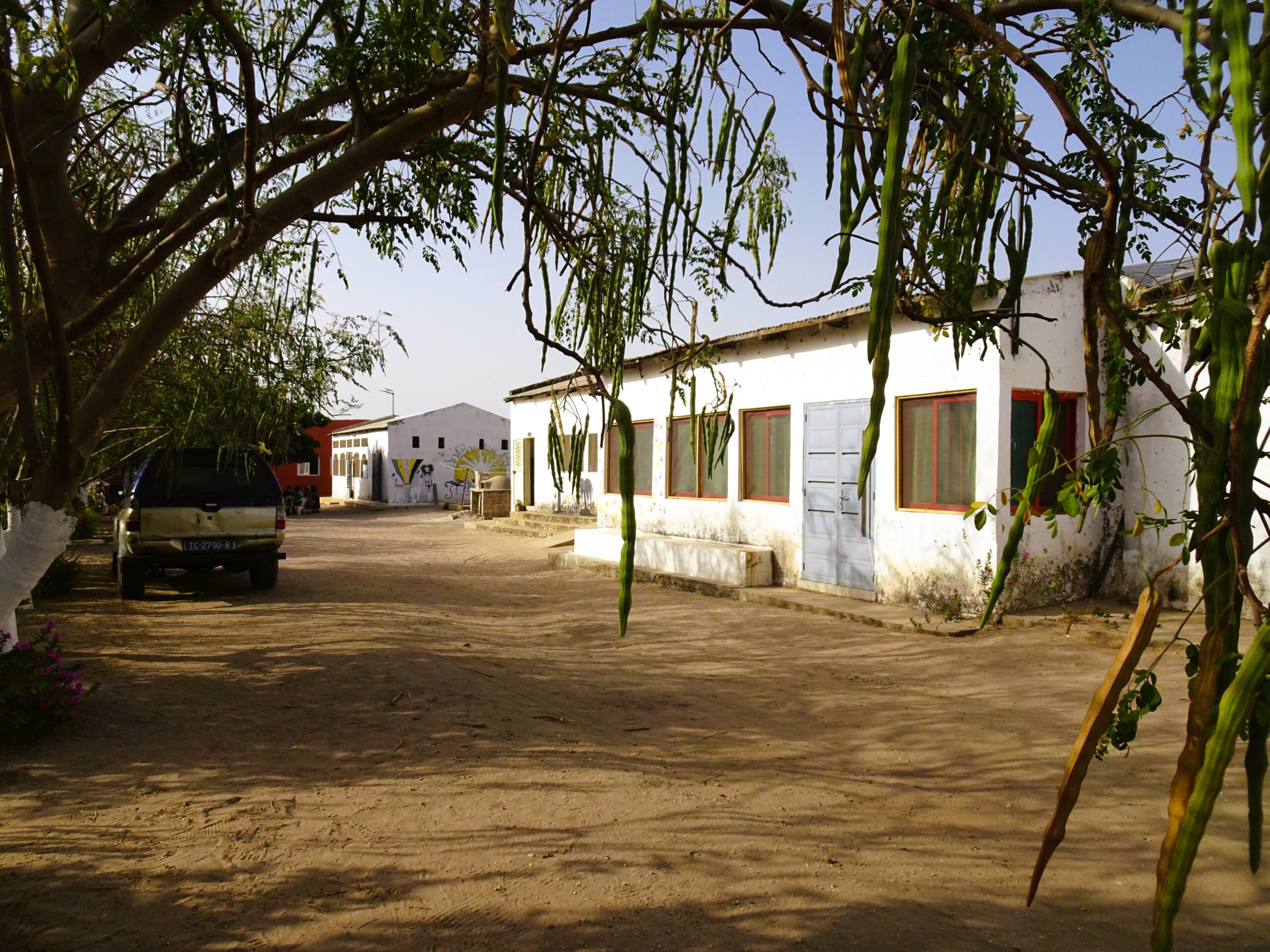 Ferme-école de Ndoumboudj - Sénégal 2026