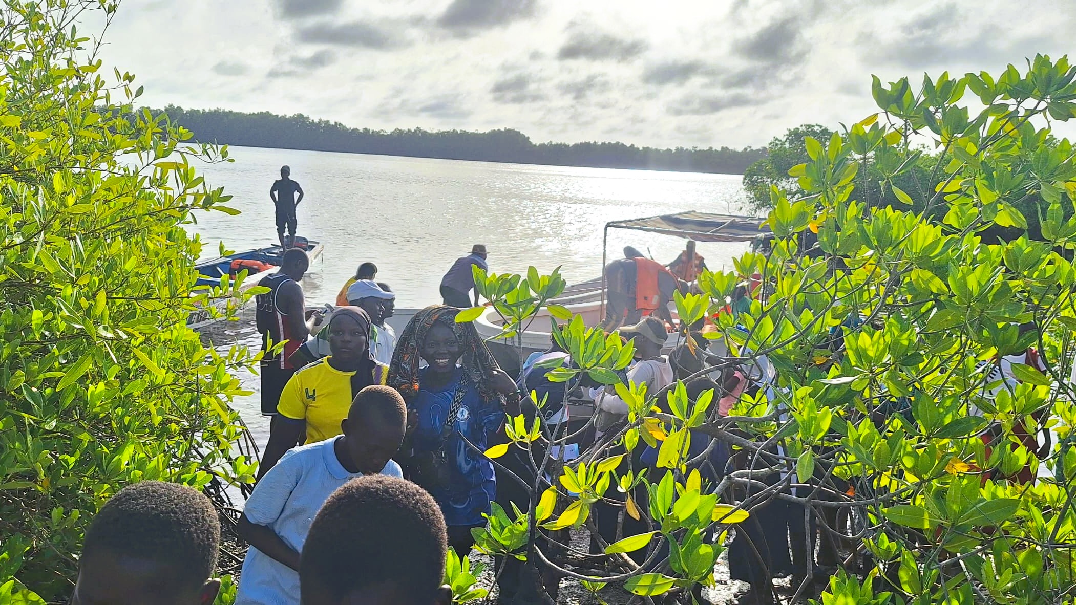Les jeunes se mobilisent pour la biodiversité - Sénégal - Mangroves - Programme Jeunesse et Environnement