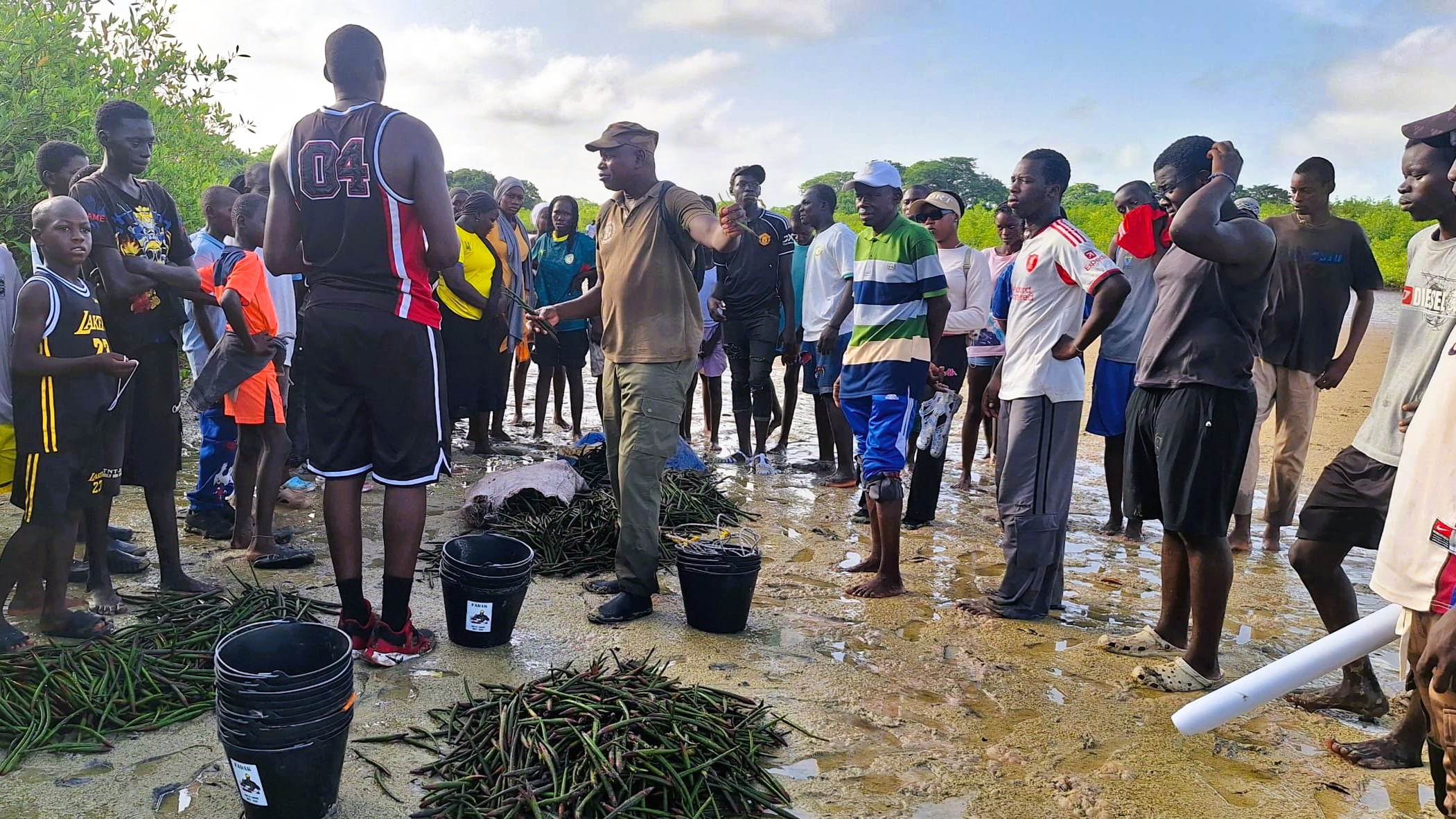 Les jeunes se mobilisent pour la biodiversité - Sénégal - Mangroves - Programme Jeunesse et Environnement