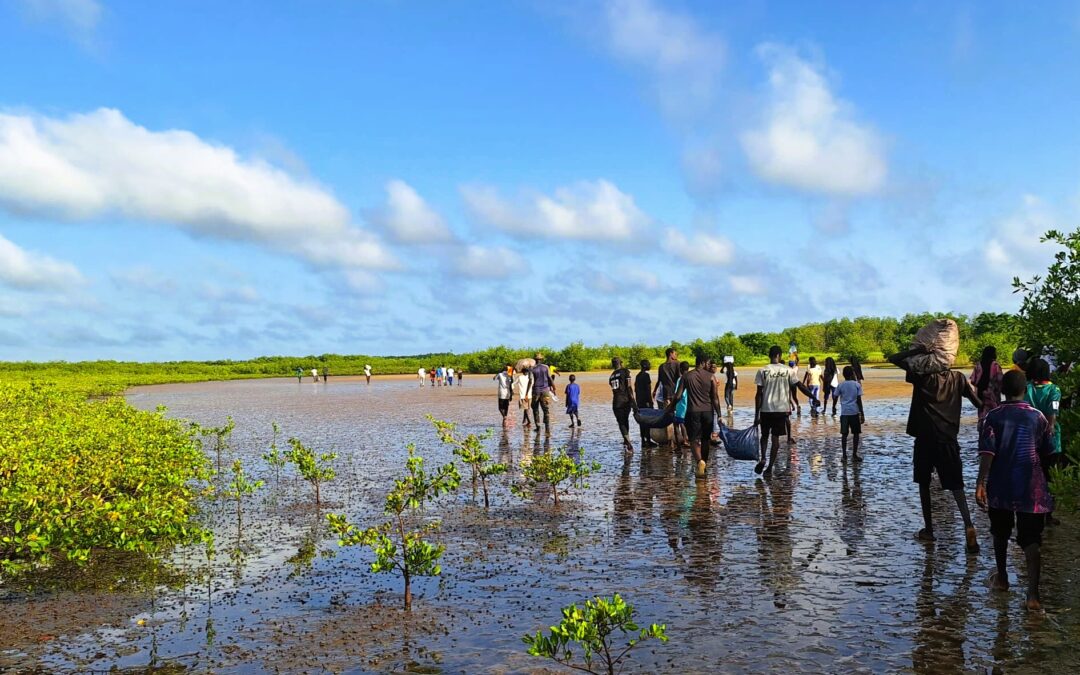 Les jeunes se mobilisent pour la biodiversité