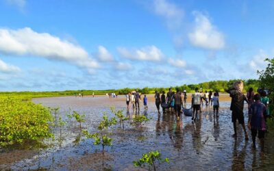Les jeunes se mobilisent pour la biodiversité