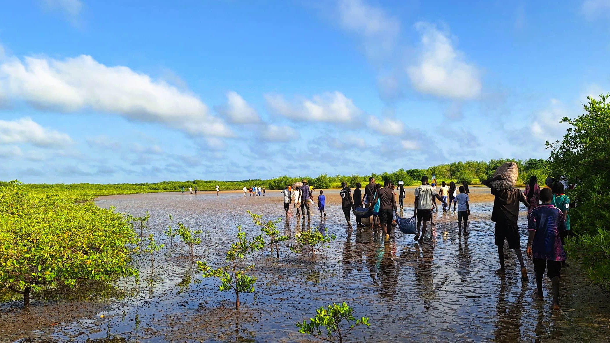 Les jeunes se mobilisent pour la biodiversité – Sénégal – Mangroves – Programme Jeunesse et Environnement Les jeunes se mobilisent pour la biodiversité - Sénégal - Mangroves - Programme Jeunesse et Environnement