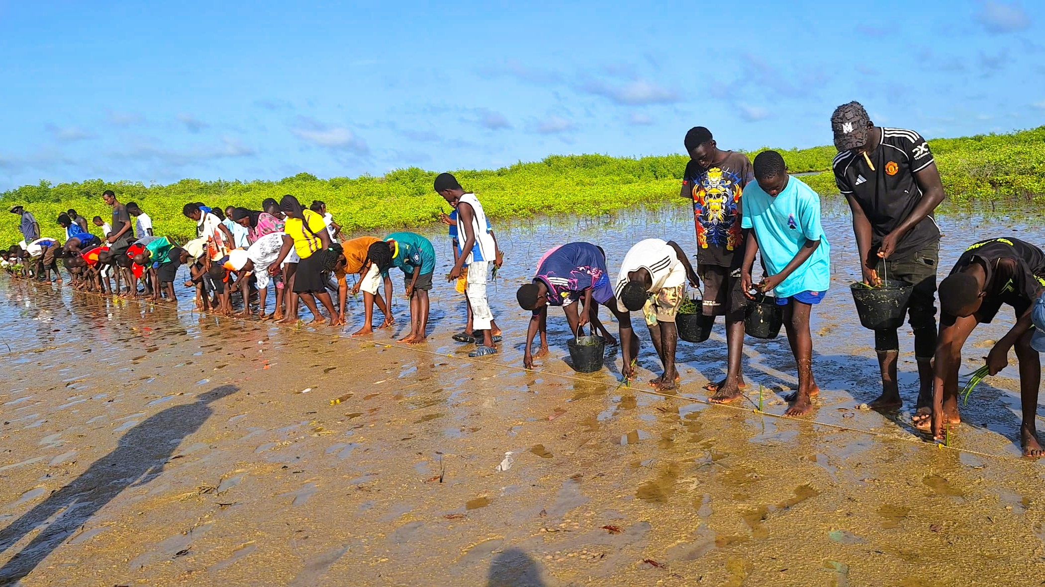 Les jeunes se mobilisent pour la biodiversité - Sénégal - Mangroves - Programme Jeunesse et Environnement