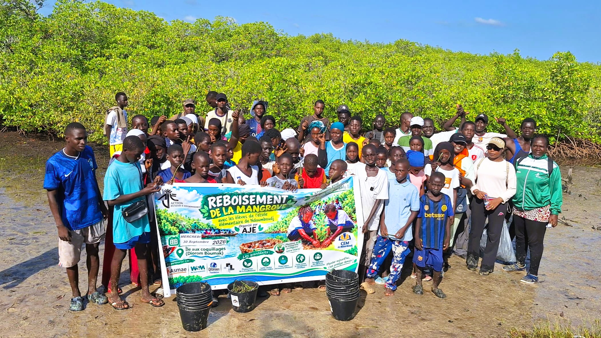 Les jeunes se mobilisent pour la biodiversité - Sénégal - Mangroves - Programme Jeunesse et Environnement